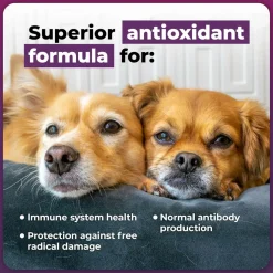 VetriScience Immune Plus for Dogs