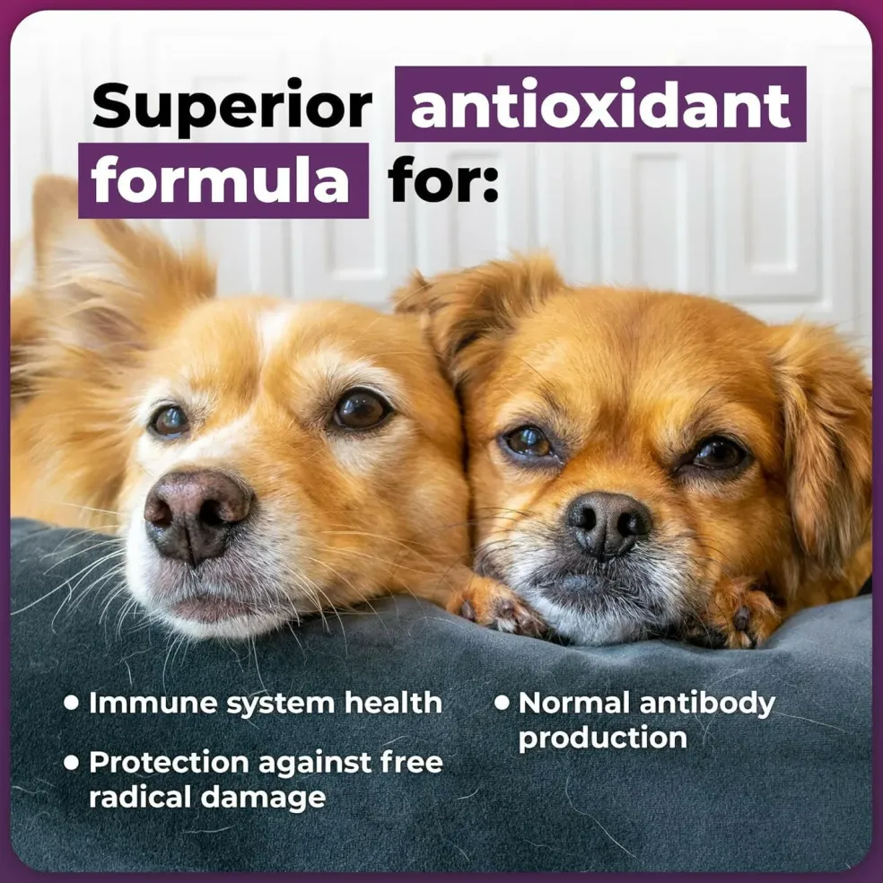 VetriScience Immune Plus for Dogs