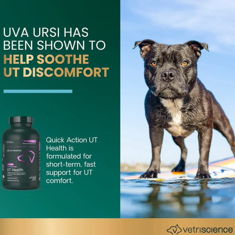 VetriScience Quick Action UT Health Tablet for Dogs (90 Chewable Tablets)