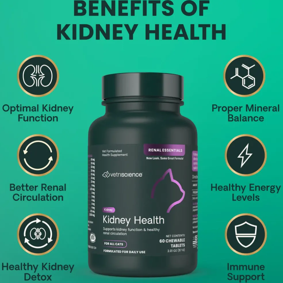 VetriScience Renal Essentials Kidney Supplement for Cats (60 chewable tablets)