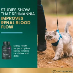 VetriScience Renal Essentials Kidney Supplement for Cats (60 chewable tablets)