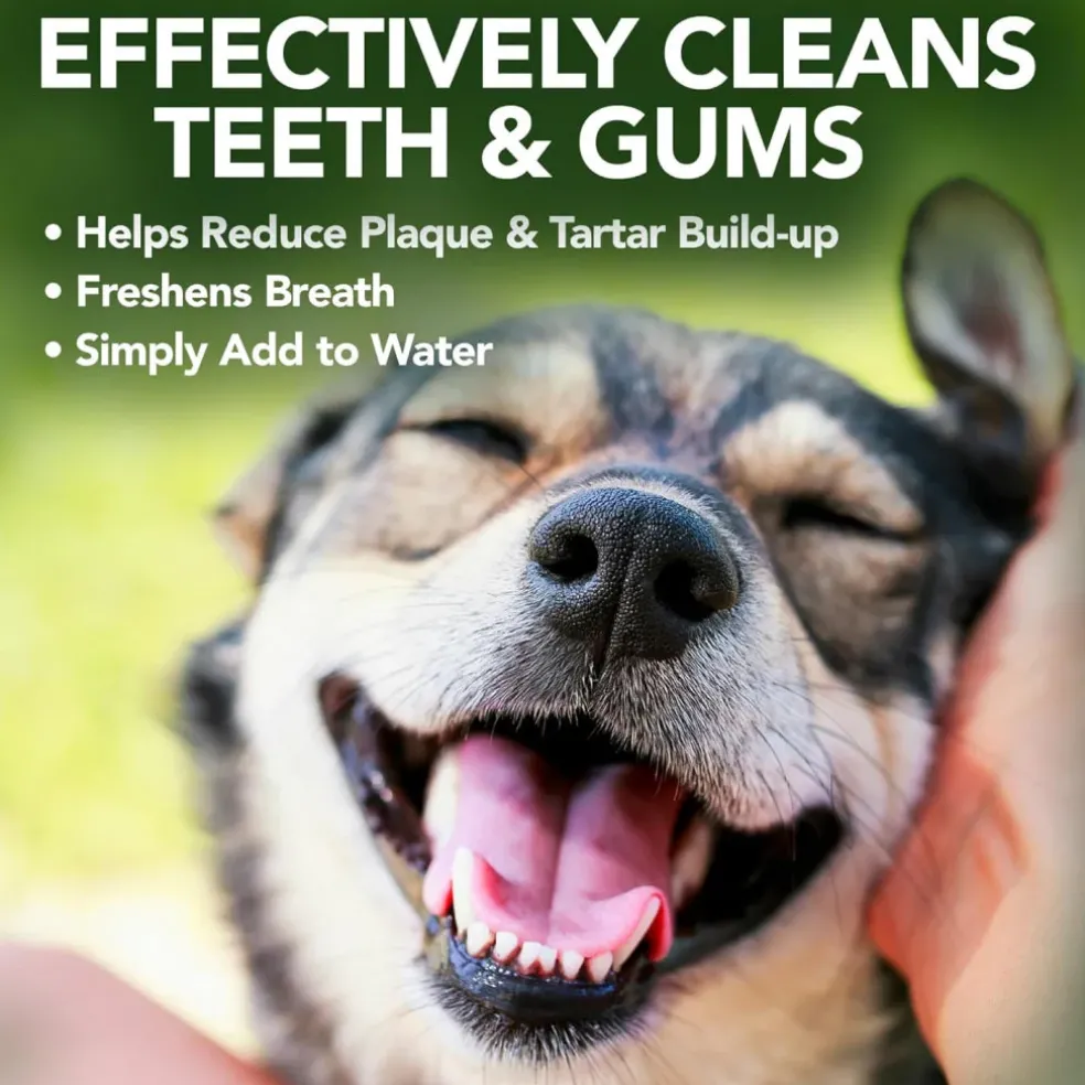 Vet's Best Breath Freshener Water Additive for Dogs and Puppies (16 oz)
