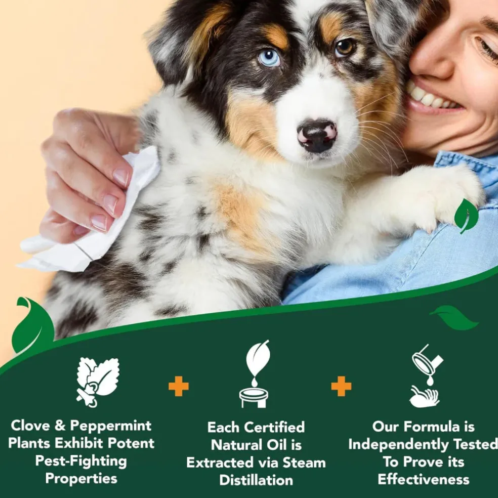 Vet's Best Flea and Tick Wipes for Dogs (50 ct)