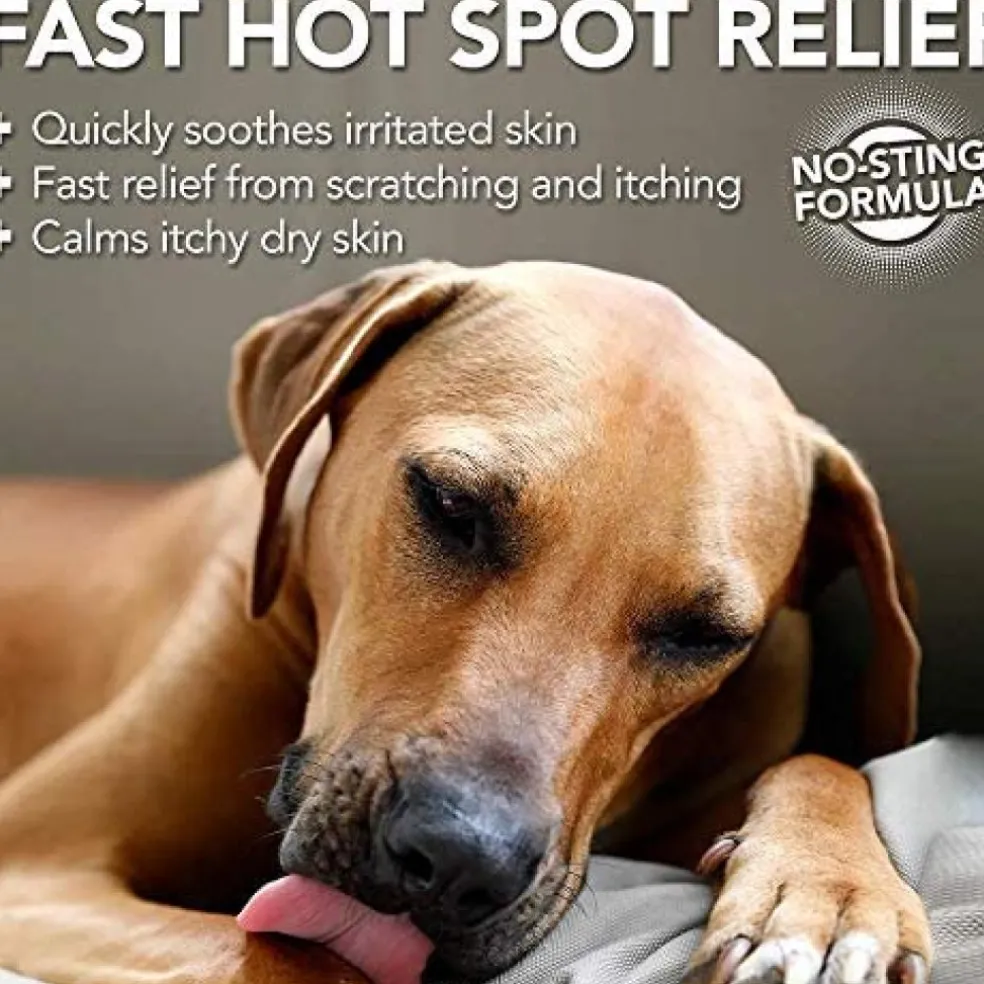 Vet's Best Hot Spot Shampoo (16 oz)