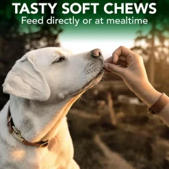 Vet's Best Seasonal Allergy Soft Chews for Dogs (30 Soft Chews)
