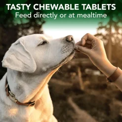 Vet's Best Seasonal Allergy Support Chewable Tablets For Dogs (60 Tablets)