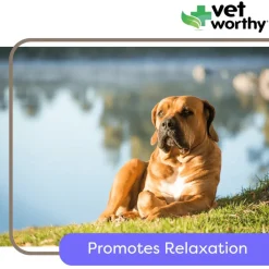 Vet Worthy Calming Soft Chews for Dogs (45 ct)
