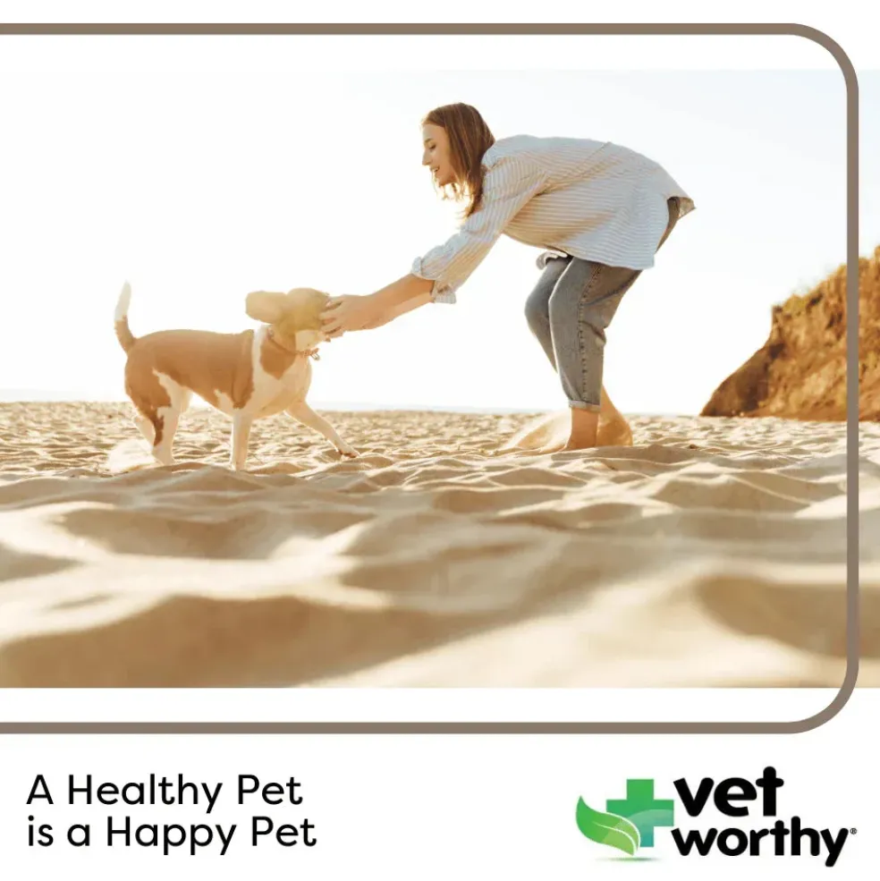 Vet Worthy Calming Soft Chews for Dogs (45 ct)