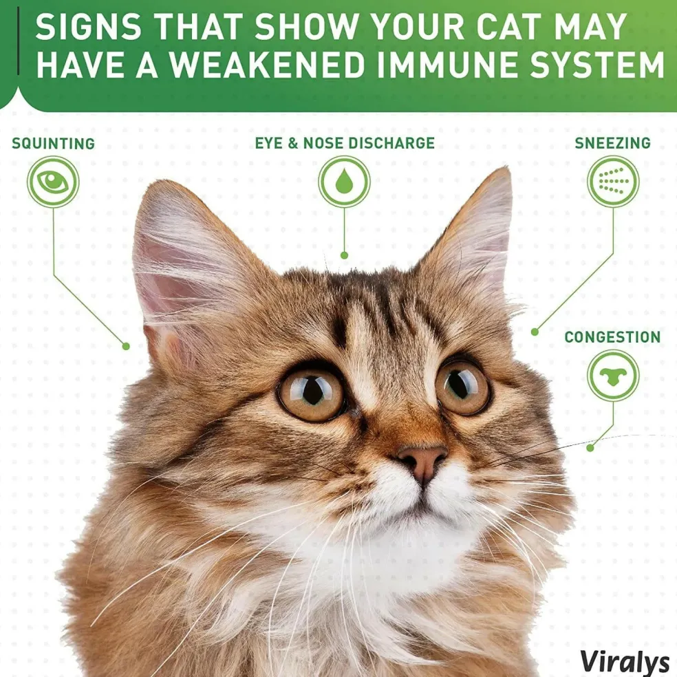 Viralys Powder for Cats