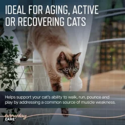 Virbac Ursolyx Muscle Care Soft Chews for Cats (60 Chews)
