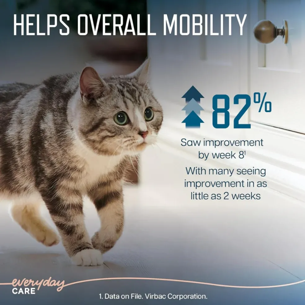 Virbac Ursolyx Muscle Care Soft Chews for Cats (60 Chews)