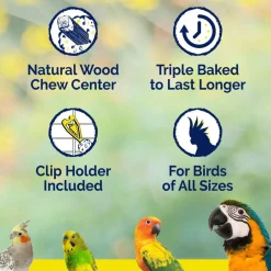 Vitakraft Curnch Sitcks Golden Honey Flavor Treats for Parakeet, 2 Sitcks