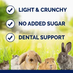 Vitakraft Slims with Carrot Nibble Stick Treats for Rabbits, Guinea Pigs & Other Small Animals