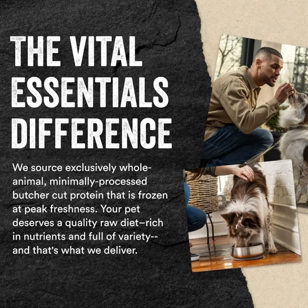Vital Essentials Freeze-Dried Raw Chicken Breast Treats For Dogs