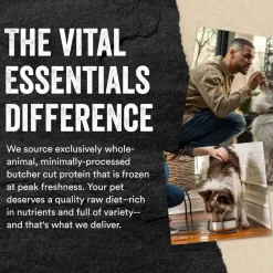 Vital Essentials Freeze-Dried Raw Minnows Treats For Dogs