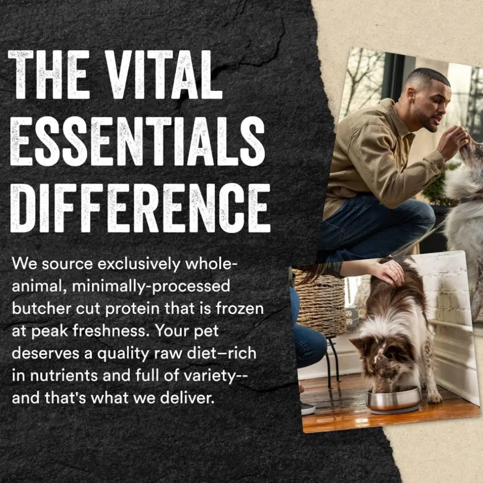 Vital Essentials Freeze-Dried Raw Minnows Treats For Dogs