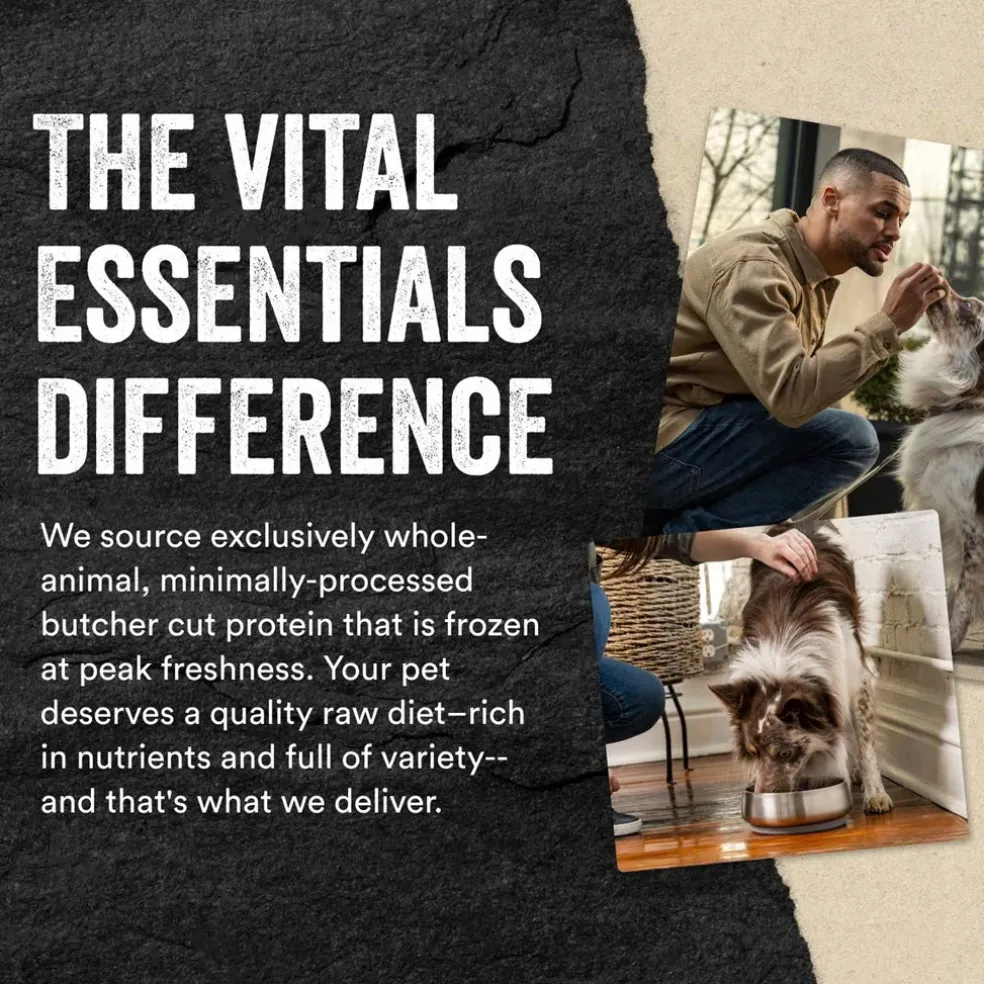 Vital Essentials Freeze-Dried Raw Protein Mix-In Ground Topper for Dogs