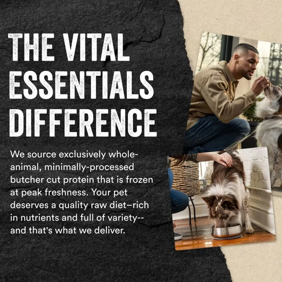 Vital Essentials Freeze-Dried Raw Protein Mix-In Ground Topper for Dogs