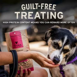 Vital Essentials Freeze-Dried Beef Tripe Nibs Treats for Dogs, 14-oz