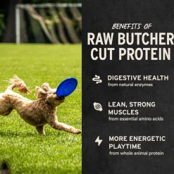 Vital Essentials Freeze-Dried Beef Bites Treats for Dogs