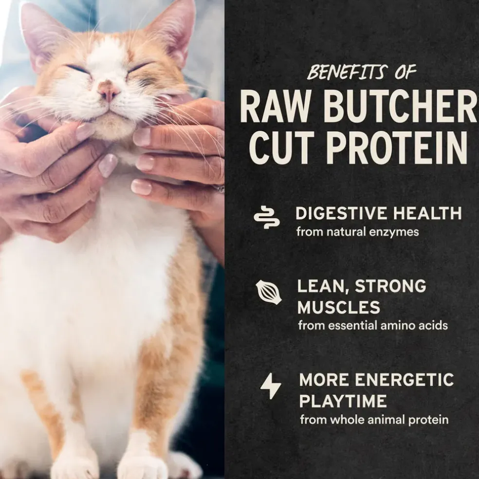 Vital Essentials Freeze-Dried Duck Liver Treats for Cats, 0.9-oz