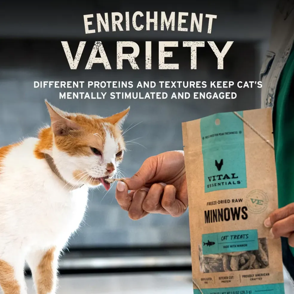 Vital Essentials Freeze-Dried Duck Liver Treats for Cats, 0.9-oz