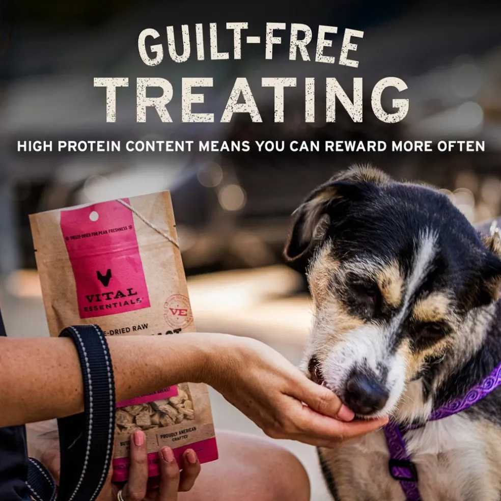 Vital Essentials Freeze-Dried Turkey Giblets Treats for Dogs, 2-oz