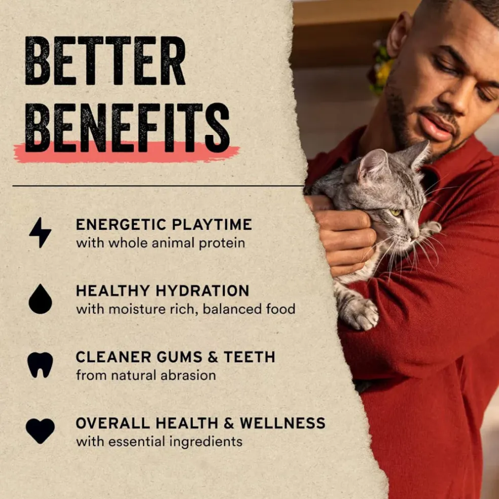 Vital Essentials Freeze-Dried Raw Chicken Breast Treats For Cats