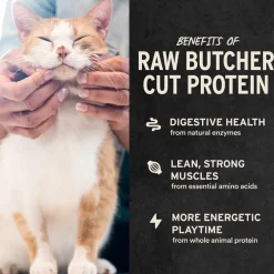 Vital Essentials Freeze-Dried Ahi Tuna Treats for Cats, 1.1-oz