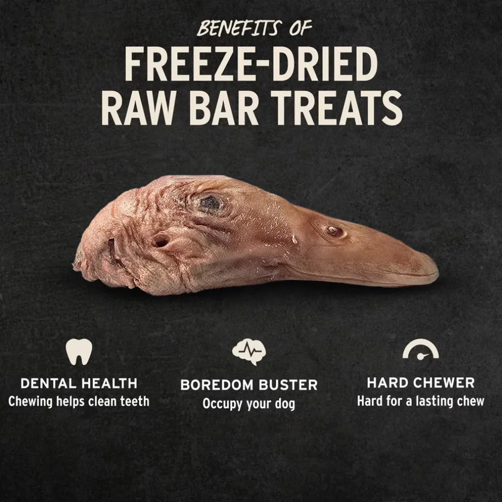 Vital Essentials Raw Bar Single Ingredient Freeze-Dried Dog, 1-count