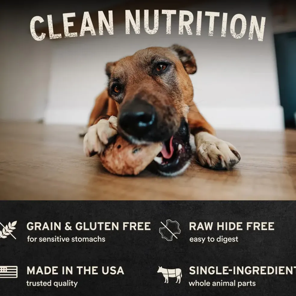 Vital Essentials Raw Bar Single Ingredient Freeze-Dried Dog, 1-count