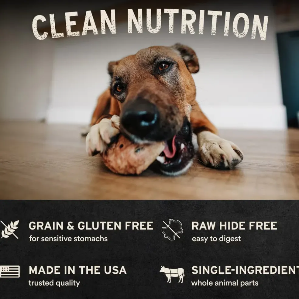 Vital Essentials Raw Bar Single Ingredient Freeze-Dried Dog, 1-count