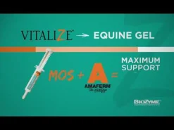 Vitalyze Recovery Gel for Horses (30 ml)