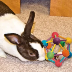 Ware Atomic Ball Chew Toy for Small Animals