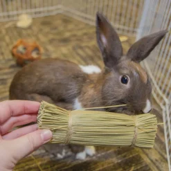 Ware Bristle Bunches Chew Treats for Small Animals