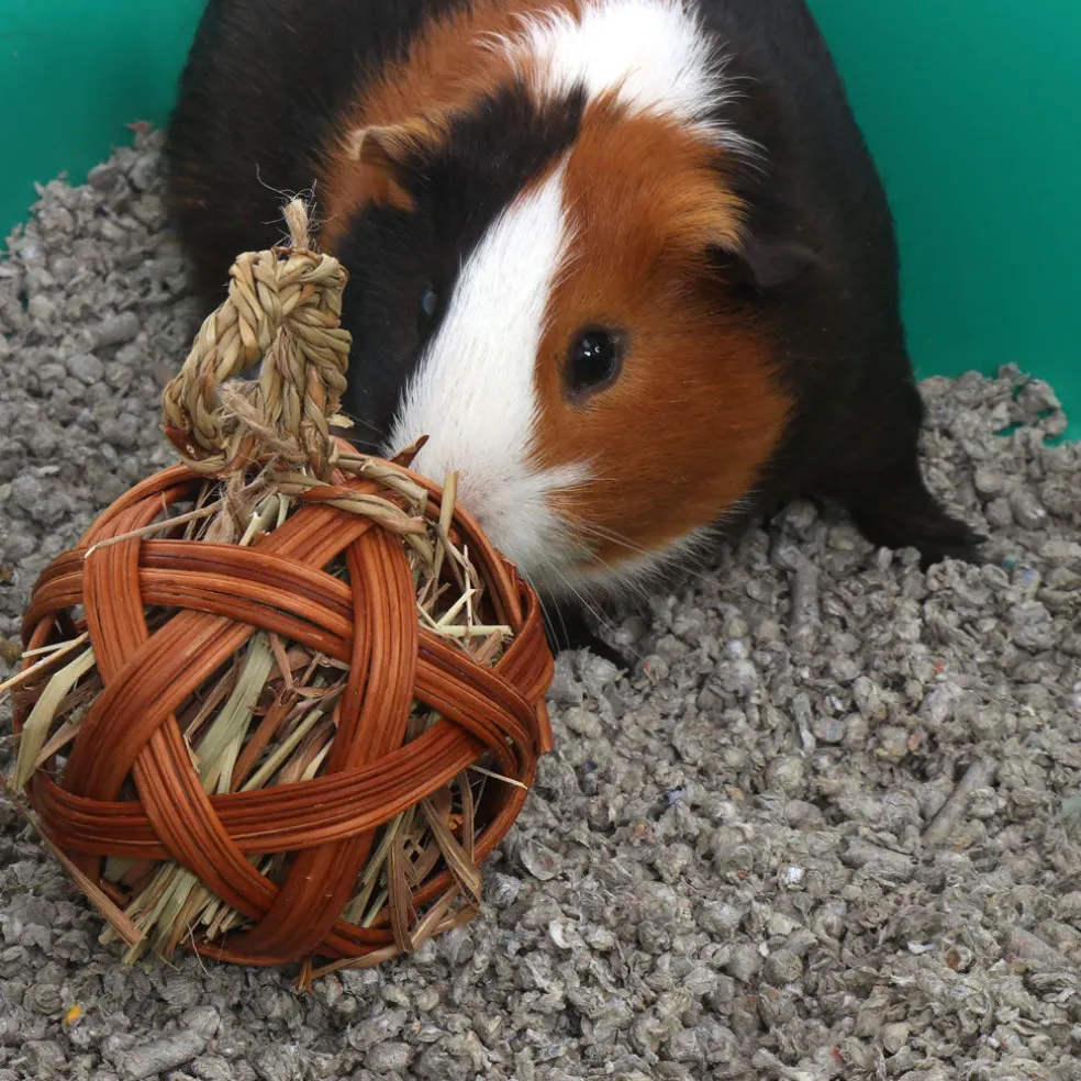 Ware 4" Edible Treat Ball for Small Animal