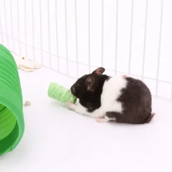Ware Fun Chew Critter Pops