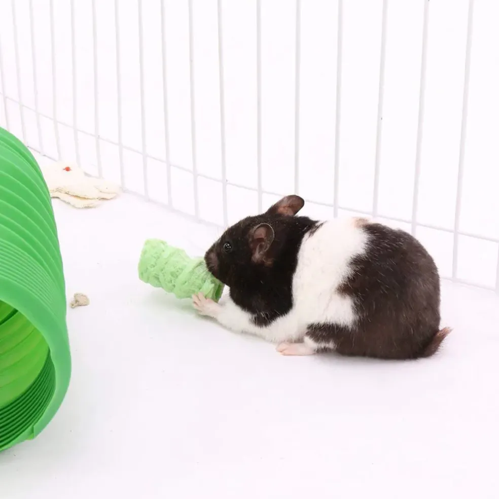 Ware Fun Chew Critter Pops