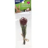 Ware Health-E-Blossom Small Animal Chew, Assorted