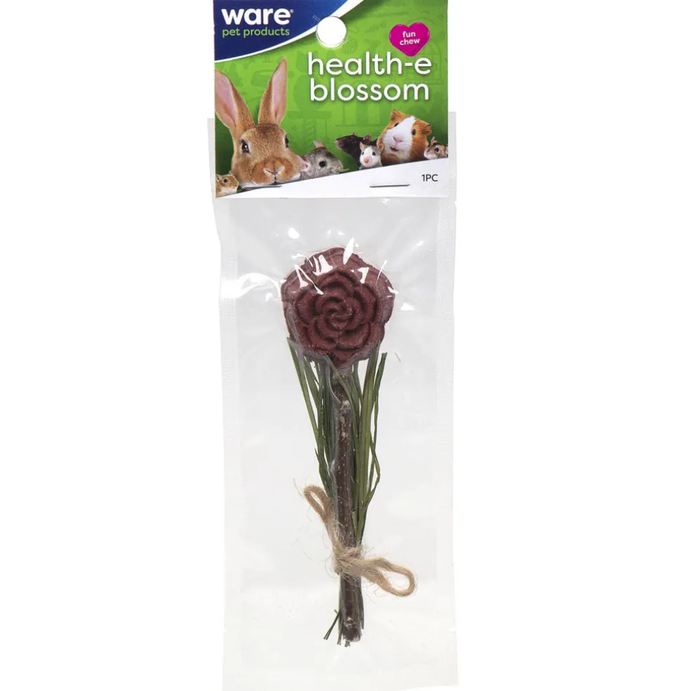 Ware Health-E-Blossom Small Animal Chew, Assorted
