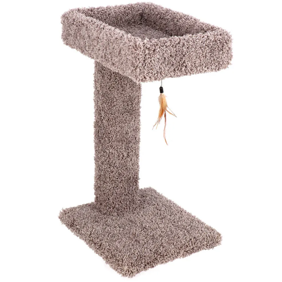 Ware Kitty Cactus with Toy, 24"