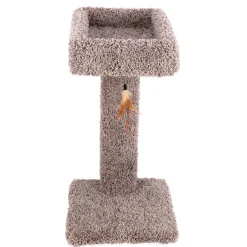 Ware Kitty Cactus with Toy, 24"