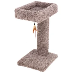 Ware Kitty Cactus with Toy, 24