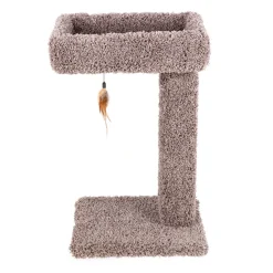 Ware Kitty Cactus with Toy, 24