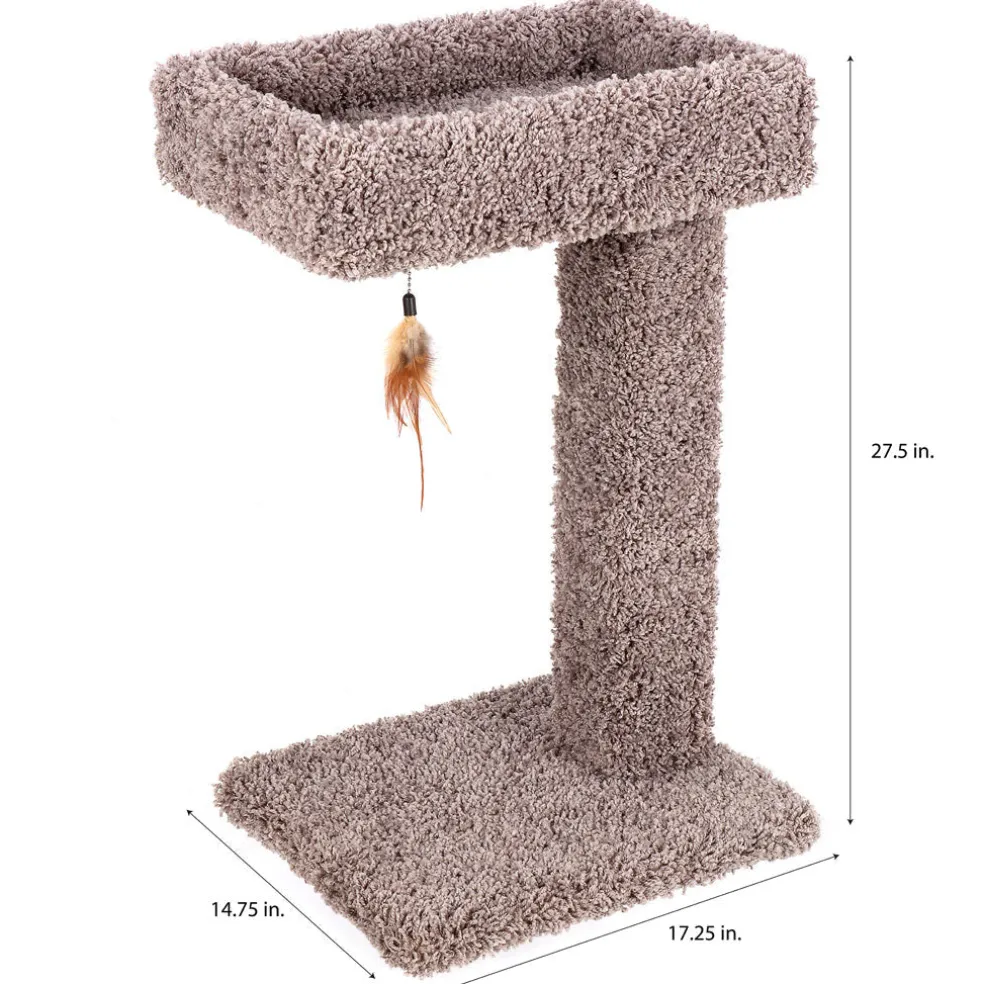 Ware Kitty Cactus with Toy, 24"