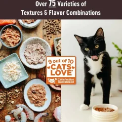 Wellness CORE Tiny Tasters Grain-Free Micned Chicken Wet Food for Kittens (1.75 oz x 12 pouches)