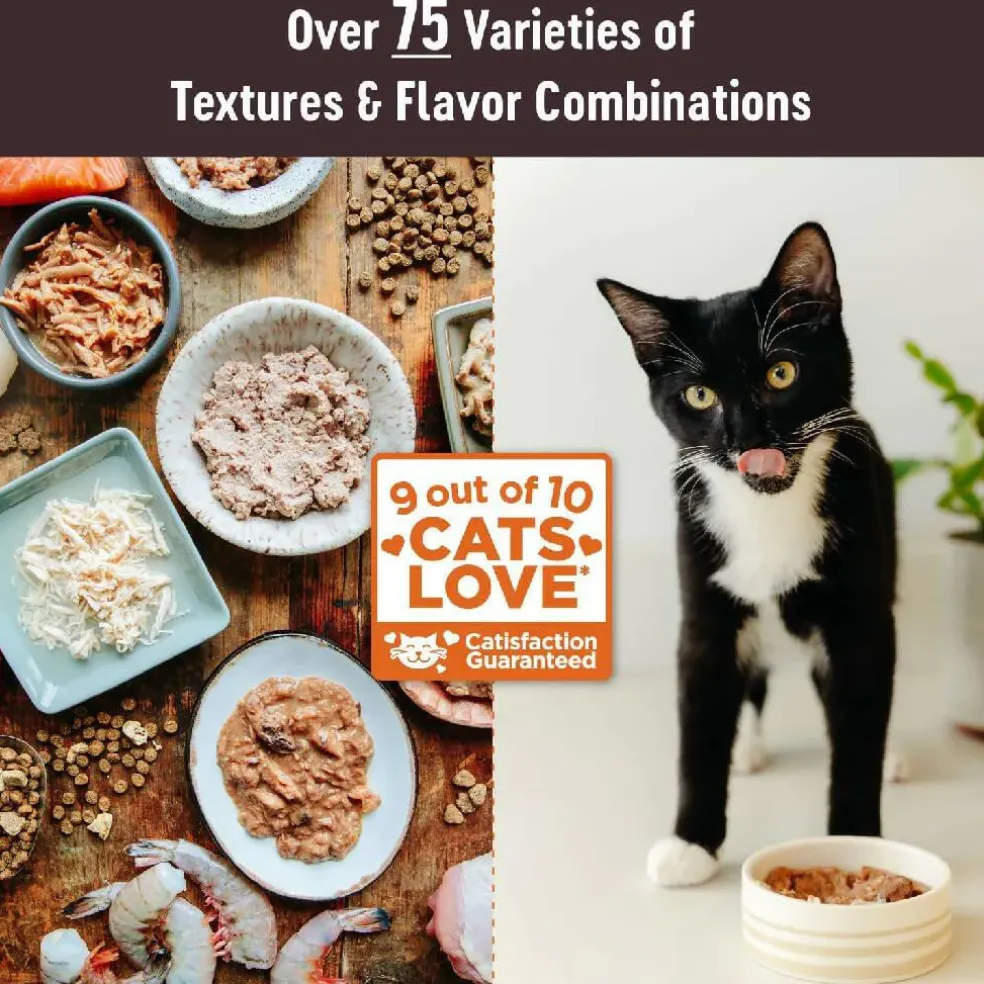 Wellness CORE Tiny Tasters Grain-Free Smooth Pate Chicken & Turkey Wet Food for Cats (1.75 oz x 12 pouches)