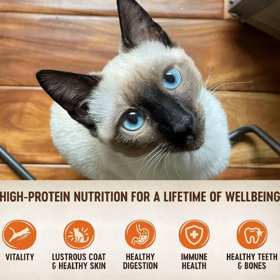 Wellness CORE Tiny Tasters Grain-Free Smooth Pate Chicken & Turkey Wet Food for Cats (1.75 oz x 12 pouches)