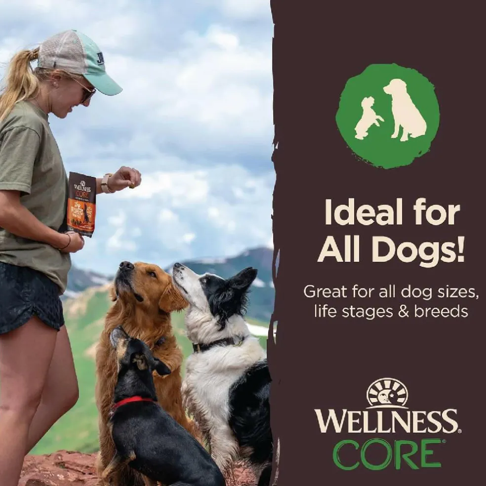 Wellness CORE Tiny Trainers Tender Grain Free Lamb & Apple Dog Treats (6 oz)