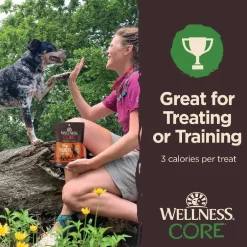 Wellness CORE Tiny Trainers Tender Grain Free Lamb & Apple Dog Treats (6 oz)